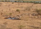 View of the watering hole just below our lodge.